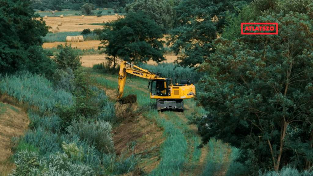 Zagyvakotras 20250716 papaigergo