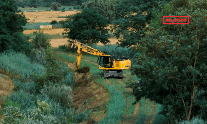 Zagyvakotras 20250716 papaigergo