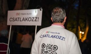 559144296 122204999534331146 454548407334418375 n 768x512