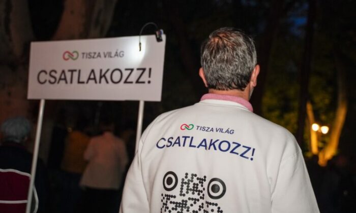 559144296 122204999534331146 454548407334418375 n 768x512