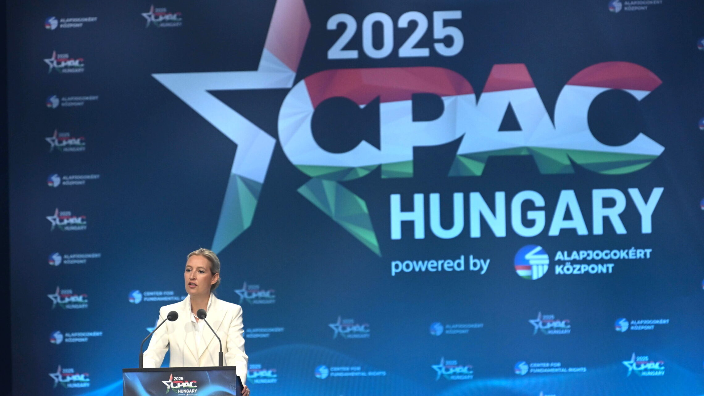 D noe20250530030 e1764238693535