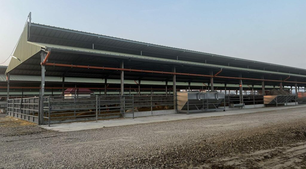 Tehenek e1773735012559 (1)